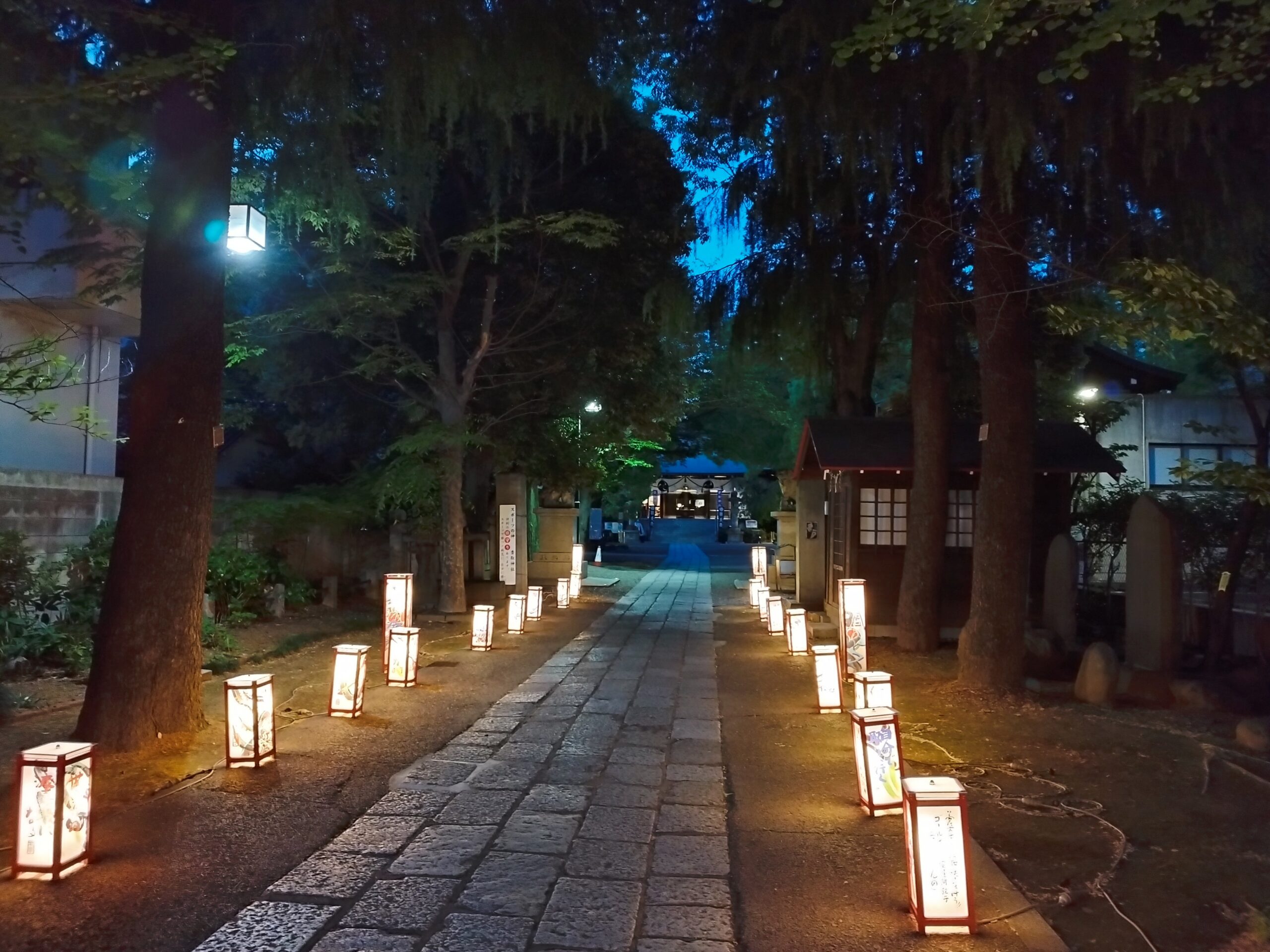 亀戸・幻想的な香取神社参道
